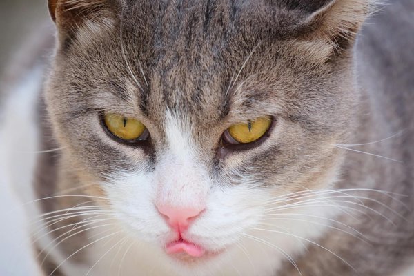 In che modo la simulazione ad agenti può prevedere e ottimizzare il flusso dei passeggeri nei grandi aeroporti?